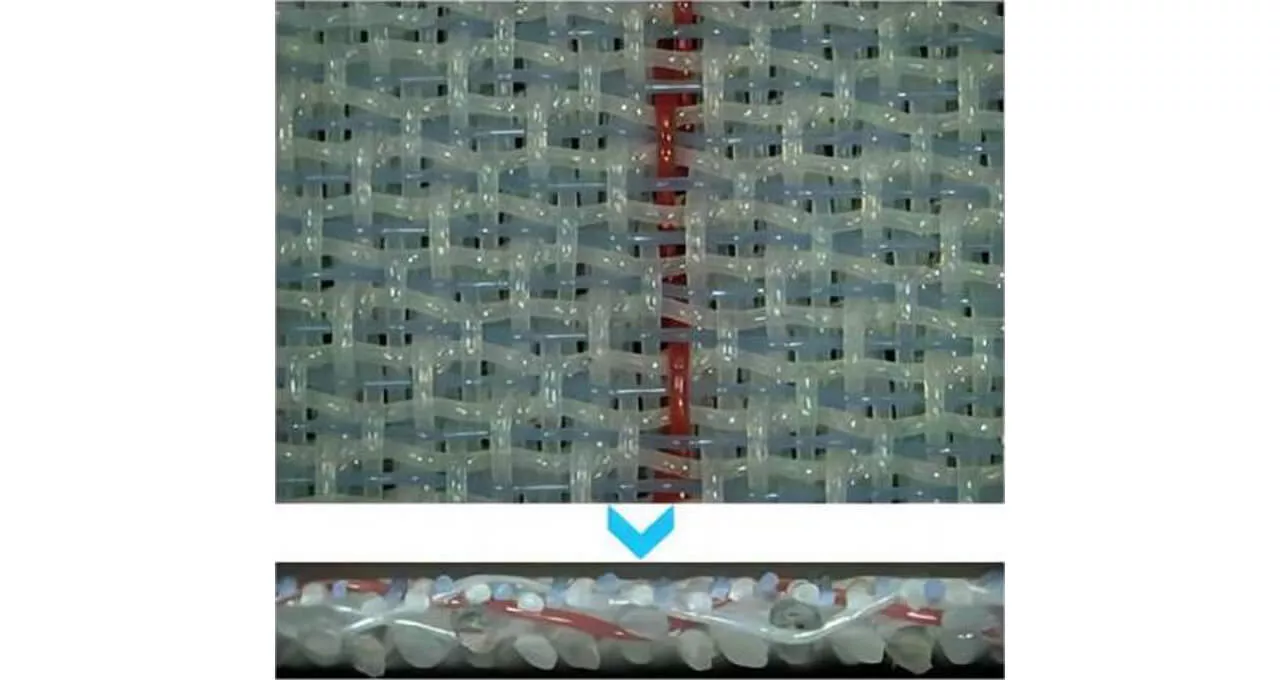 2.5 layer forming fabric structure