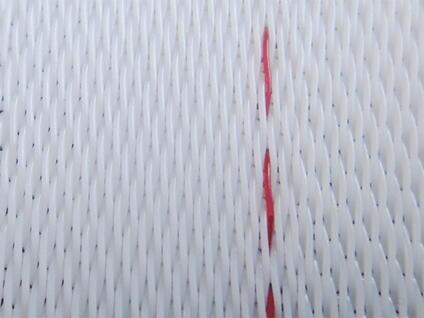 sludge dewatering belt